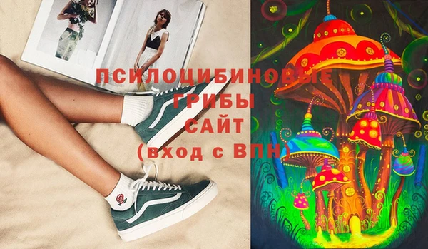 а пвп мука Белокуриха