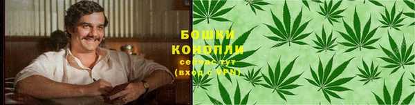 ПСИЛОЦИБИНОВЫЕ ГРИБЫ Белоозёрский